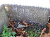 image of grave number 172279